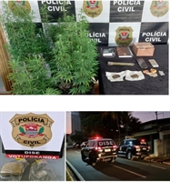 Operação da Dise de Votuporanga desmantelou um forte esquema de venda de drogas de playboys no município (Foto: Divulgação)