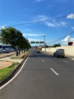 Obras de revitalização da Avenida Emílio Arroyo Hernandes avançam para a etapa de paisagismo com o plantio de árvores  (Foto: A Cidade) 
