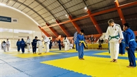 Campeonato de judô reúne mais de 320 atletas de Votuporanga e região hoje