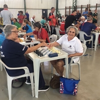 Atletas de diversas idades representam Votuporanga (Foto: Prefeitura de Votuporanga)