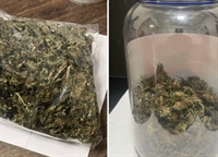 Em busca minuciosa os policiais identificaram 61 gramas de maconha, o que renderia até 122 porções destinadas à comercialização (Foto: Divulgação)