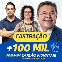 Chandelly utilizou as redes sociais para comemorar a conquista de mais R$ 100 mil para castração por intermédio de Carlão Pignatari (Foto: Reprodução)