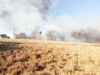 Incêndio de proporção gigante atinge Votuporanga; casas e animais estão em perigo