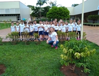Turmas do Colégio Unifev conhecem espécies de árvores no pátio da Escola