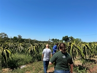 A iniciativa teve como objetivo apresentar a diversidade e a qualidade da fruticultura da região (Foto: Sebrae-SP)