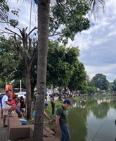  Lagoa Municipal Hygino Zampronha, recebe neste sábado, munícipes e turistas para o PesCardoso (Foto: Arquivo pessoal)