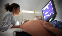 A participação é uma excelente oportunidade para adquirir informações valiosas e acolhimento (Foto: Arquivo/André Borges/Agência Brasil)