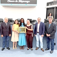 Na manhã de ontem, 28, a Câmara Municipal de Votuporanga realizou uma Sessão Solene para a entrega do Prêmio “Mulher Destaque – Maria Muro Pozzobon” (Foto: Assessoria)
