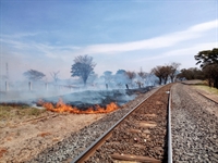 Incêndio devasta área de 4 alqueires e reforça alerta sobre o risco de queimadas em Votuporanga