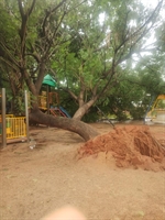 Mais de 130 milímetros de chuva em apenas 3 dias em Votuporanga
