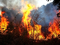 Qualquer munícipe que ver um incêndio deve acionar imediatamente o Bombeiros via 193 (Foto: Imagem Ilustrativa)