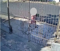 Mulher é flagrada furtando flores em residências do bairro Eldorado em Jales
