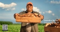 O produtor rural de Votuporanga, Leandro Neves, ganhou destaque em rede nacional com seu cultivo de mandioca (Foto: Reprodução)