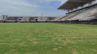 Uma praga atacou o gramado da Arena Plínio Marin, mas ela já está sendo eliminada  (Foto: Divulgação)