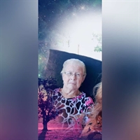Herminia Antonieto Chierote, 85 anos (Foto: Arquivo Pessoal)