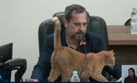 Presidente da Câmara propõe criação do ‘Samu Pet’ para resgatar animais abandonados