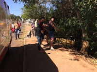 O jovem perdeu o controle da direção, derrubou o poste da rua e a cerca, caindo dentro de uma mata localizada às margens da via Foto: Aline Ruiz/A Cidade 