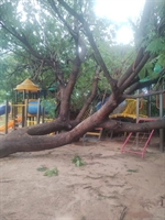 Defesa Civil interdita 100% do Parque da Cultura após estragos da chuva; veja imagens 