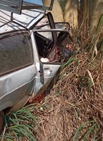 O carro que Manoel Gomes da Silva dirigia saiu da pista e bateu contra uma árvore em Cardoso; ele morreu após quatro dias internado (Foto: Reprodução)