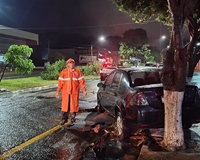 Programa “São Paulo Sempre Alerta” busca articular ações para fortalecer a infraestrutura preventiva para casos de desastres naturais (Foto: Redes sociais)