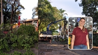Uma árvore caiu e quebrou um poste na Estrada do 27; árvores também caíram na região Sul, a comerciante Maitana Nunes relatou momentos de pavor e a uma estrada ficou interditada (Fotos: A Cidade e arquivo pessoal)