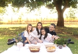 Social